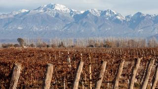 Pacotes de Viagem para Mendoza