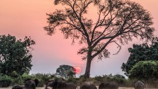 Pacotes de Viagem para Zimbabue