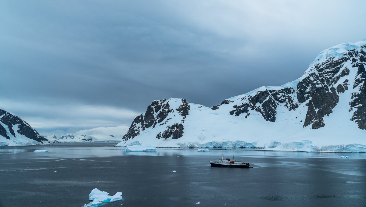 Pacotes de Viagem para Cruzeiro na Antártica