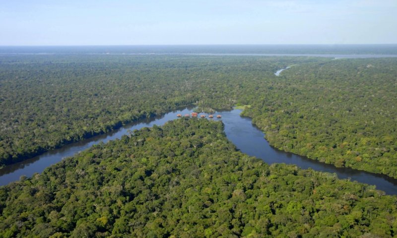 Amazônia - Uakari Lodge - Reserva Mamirauá
