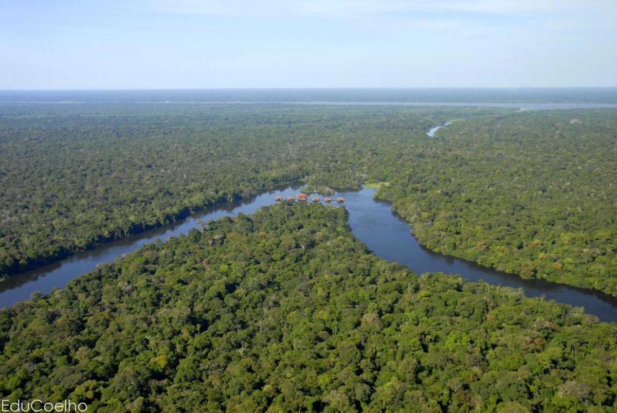 Pacotes de viagem para Reserva Mamirauá Pousada Uacari Amazônia