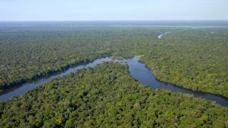 Pacotes de viagem para Reserva Mamirauá Pousada Uacari Amazônia