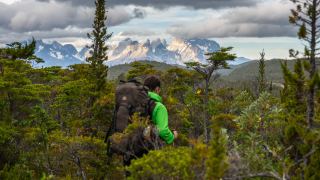 Pacotes de Viagem para Patagônia Chilena com Torres del Paine no EcoCamp