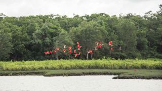 Pacotes de Viagem para Ilha do Marajó Pará